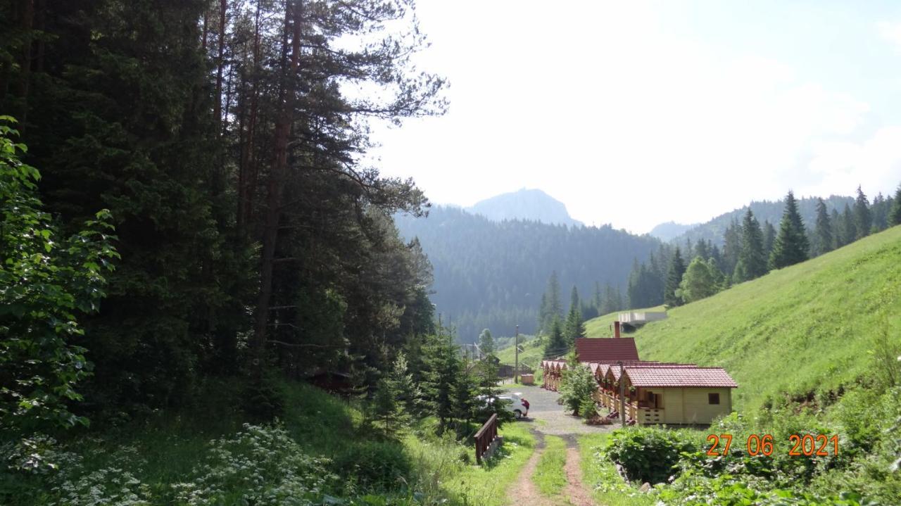 Casutele Likas Lacul Roşu